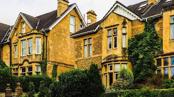 Western Specialist Surveys (Damp & Timber )