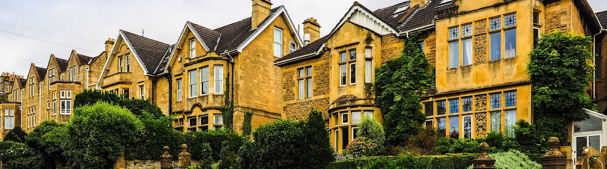 Western Specialist Surveys (Damp & Timber )