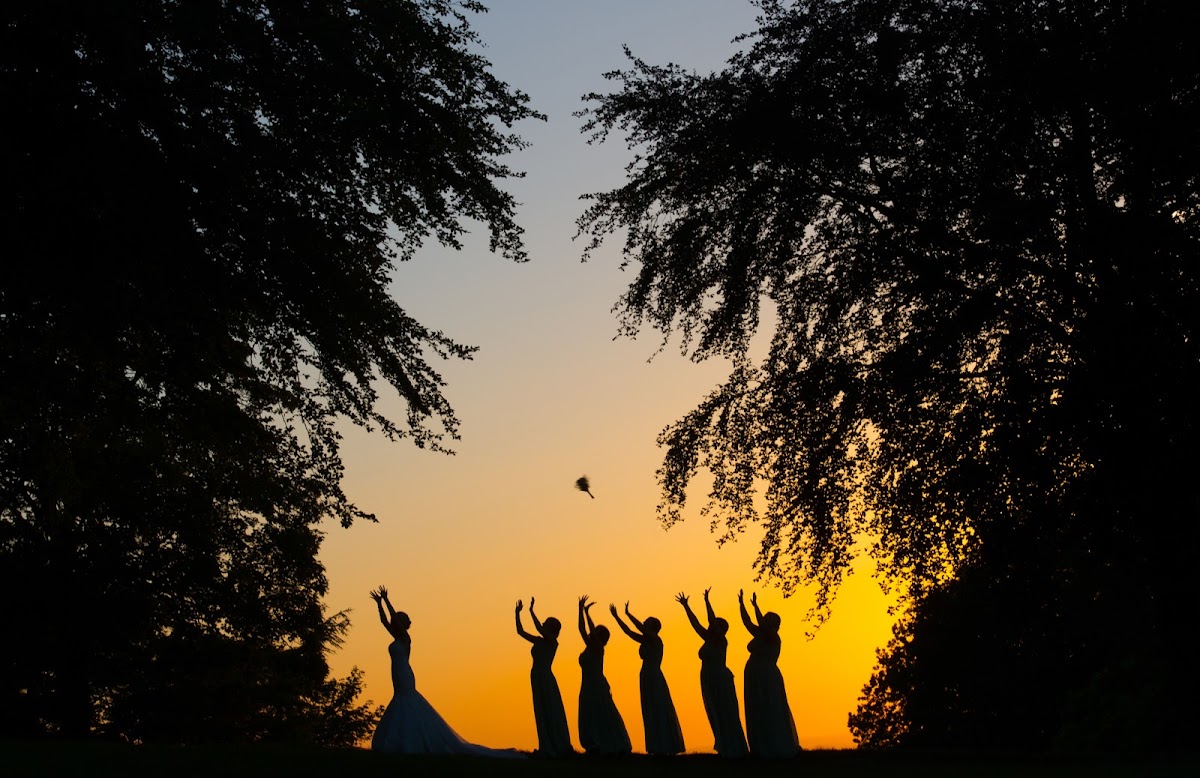 Lee Hatherall Photography