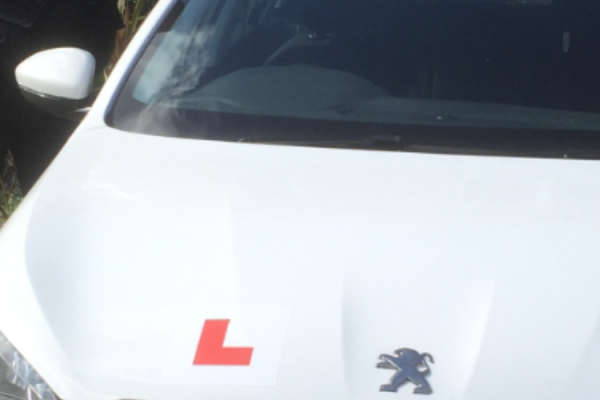 Taylored Instruction Driving School
