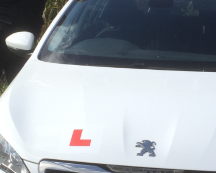Taylored Instruction Driving School