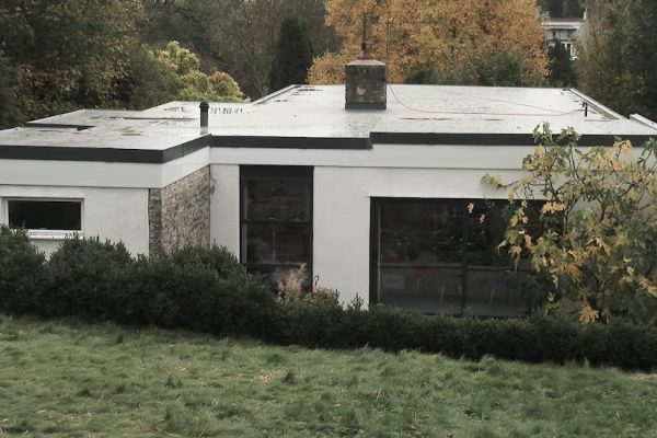 Proactive Flat Roofing