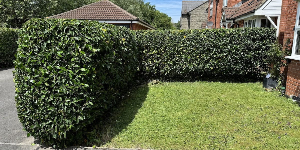 SMB Garden & Tree Services