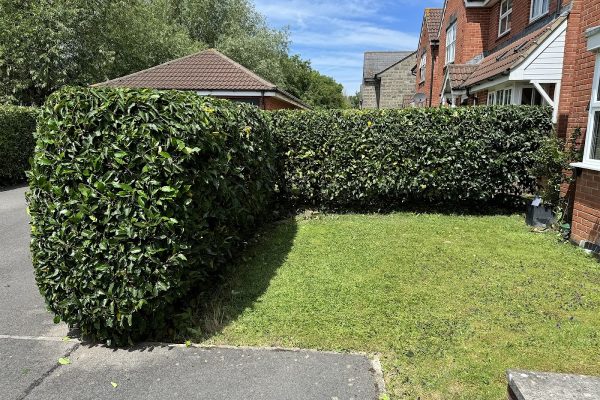 SMB Garden & Tree Services