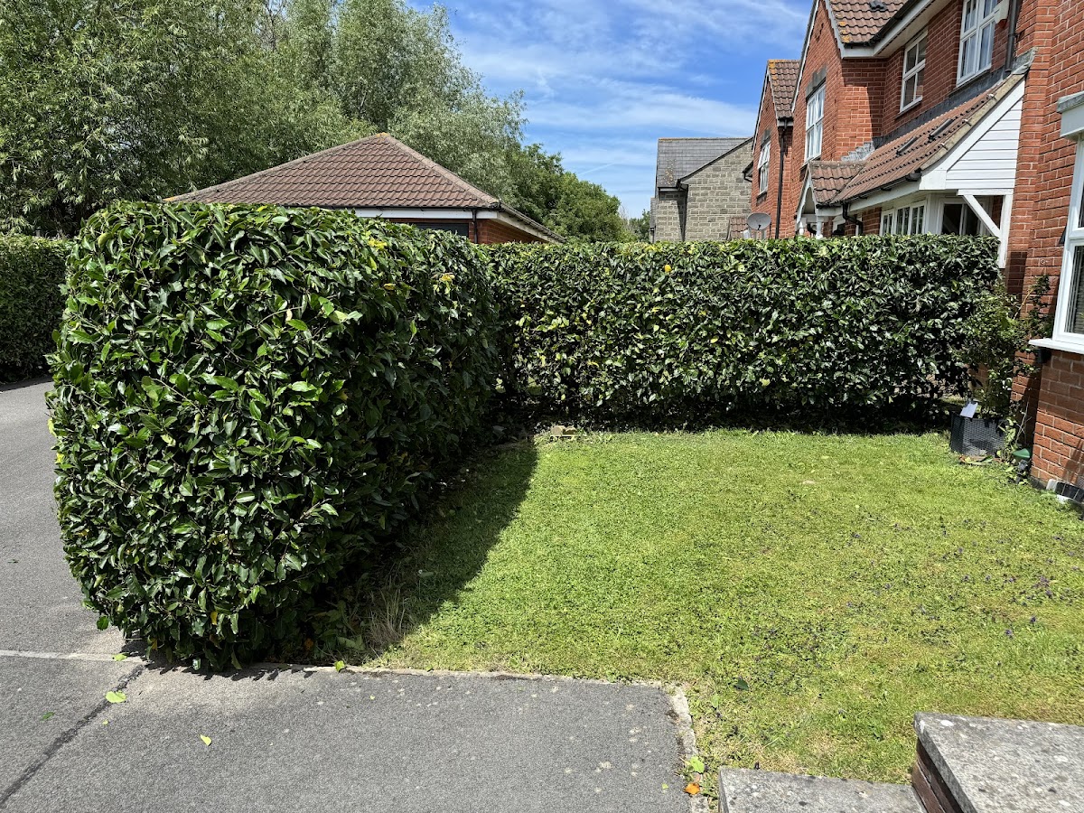 SMB Garden & Tree Services