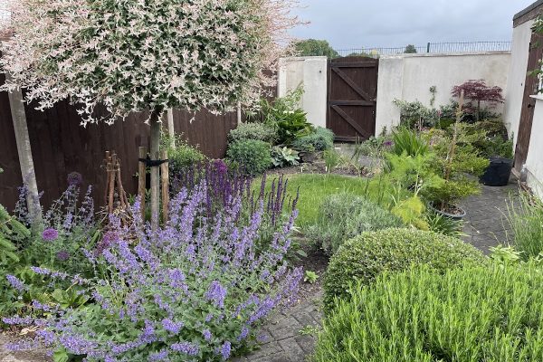 R Foxley Gardening Services