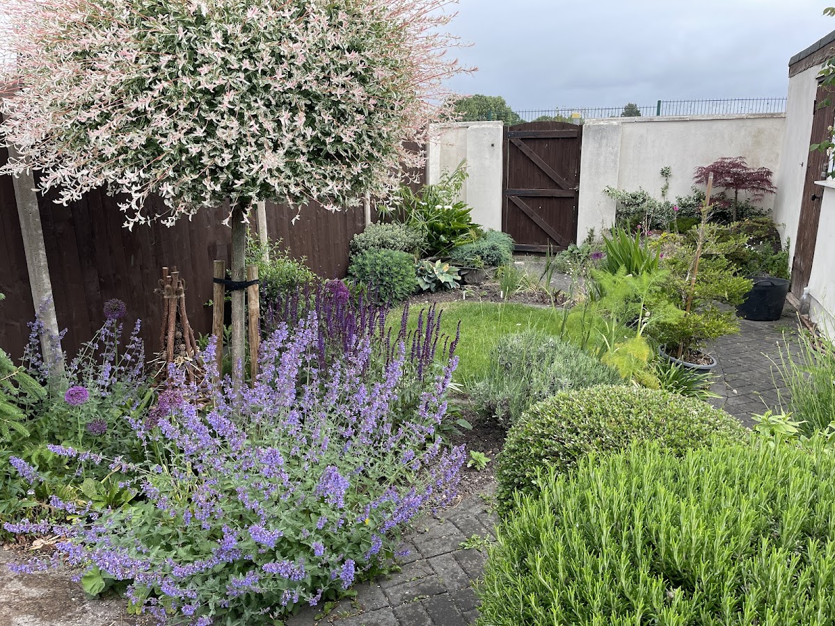 R Foxley Gardening Services