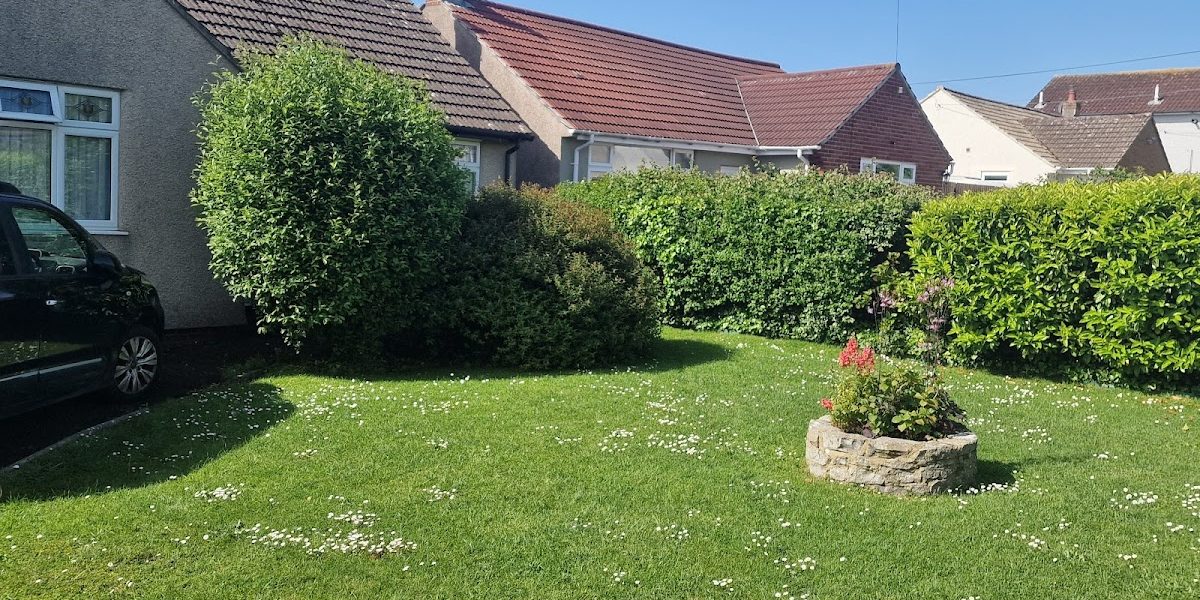 Olivers Tree and Garden Service