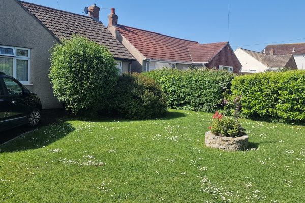 Olivers Tree and Garden Service