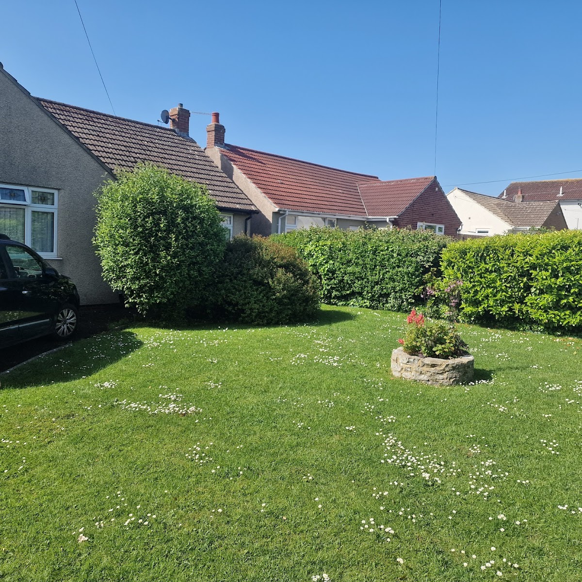 Olivers Tree and Garden Service