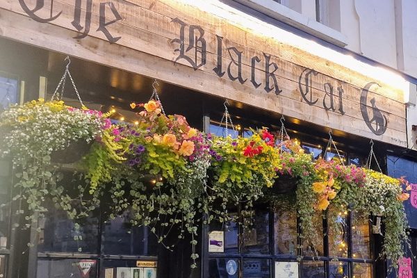 The Black Cat Micropub