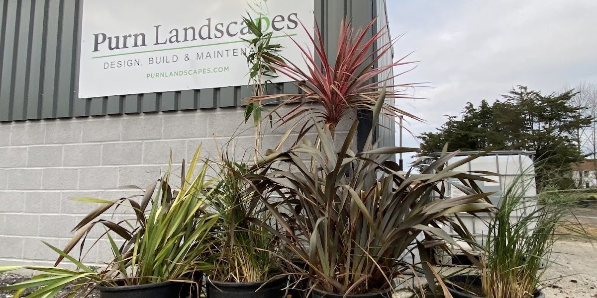 Purn Landscapes