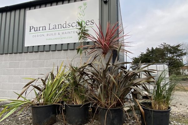 Purn Landscapes