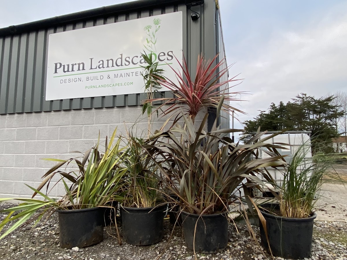 Purn Landscapes