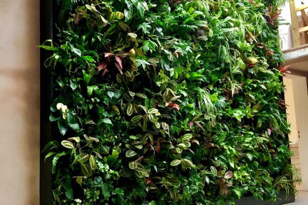Green Matters