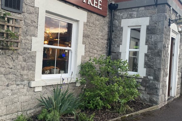 The Nut Tree Pub