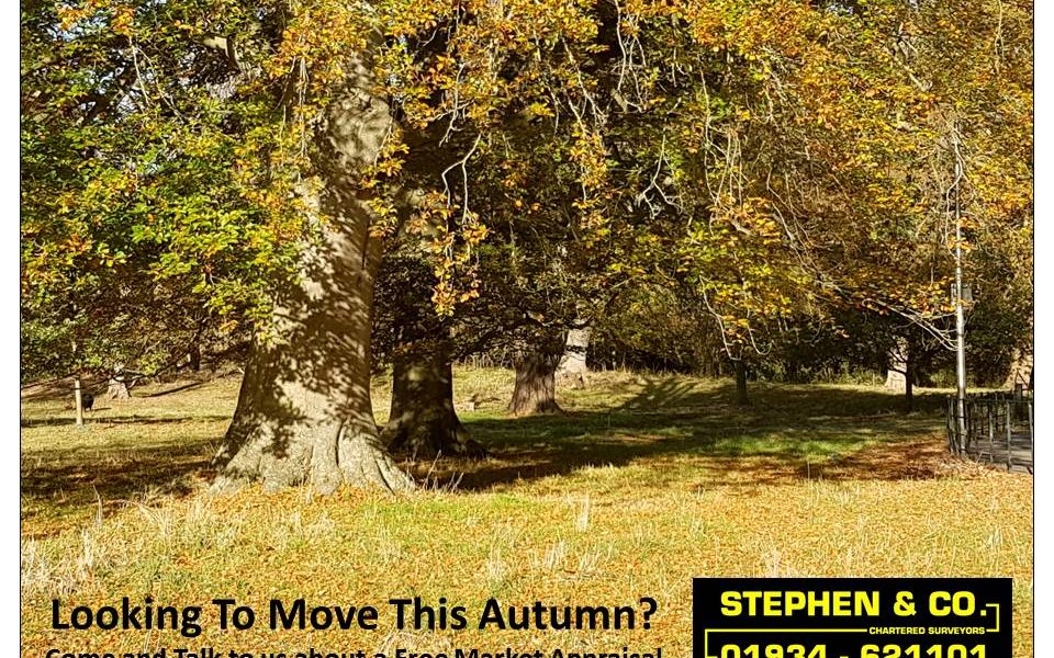 Stephen & Co