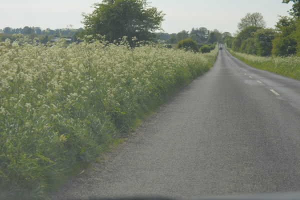 DWP Funeral on Benefit Services – North Somerset