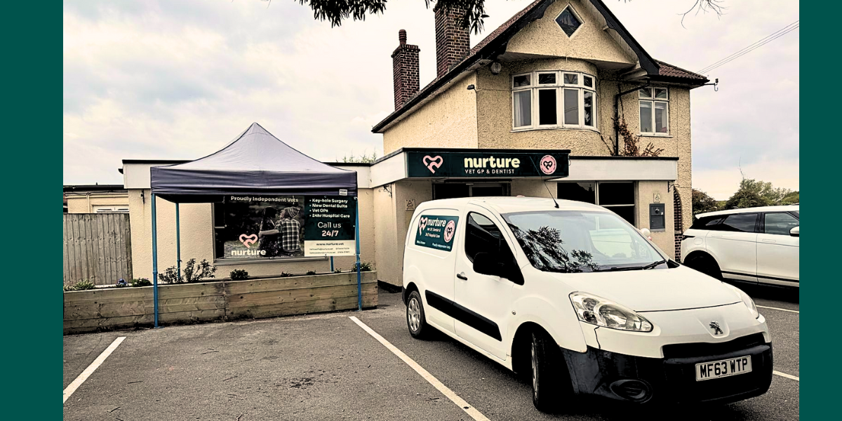 Nurture Weston – Vet, GP & Dentist