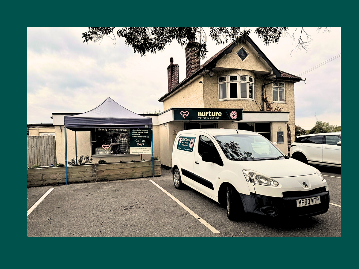 Nurture Weston – Vet, GP & Dentist