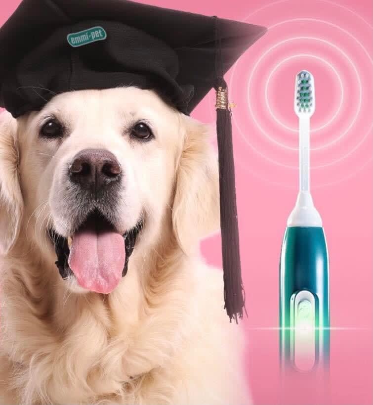 Emmipet – Ultrasonic Doggy Dentals by Diamonddax