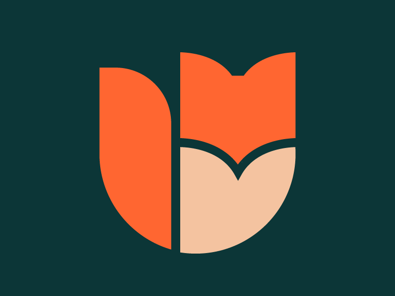 Mortgage Fox Ltd
