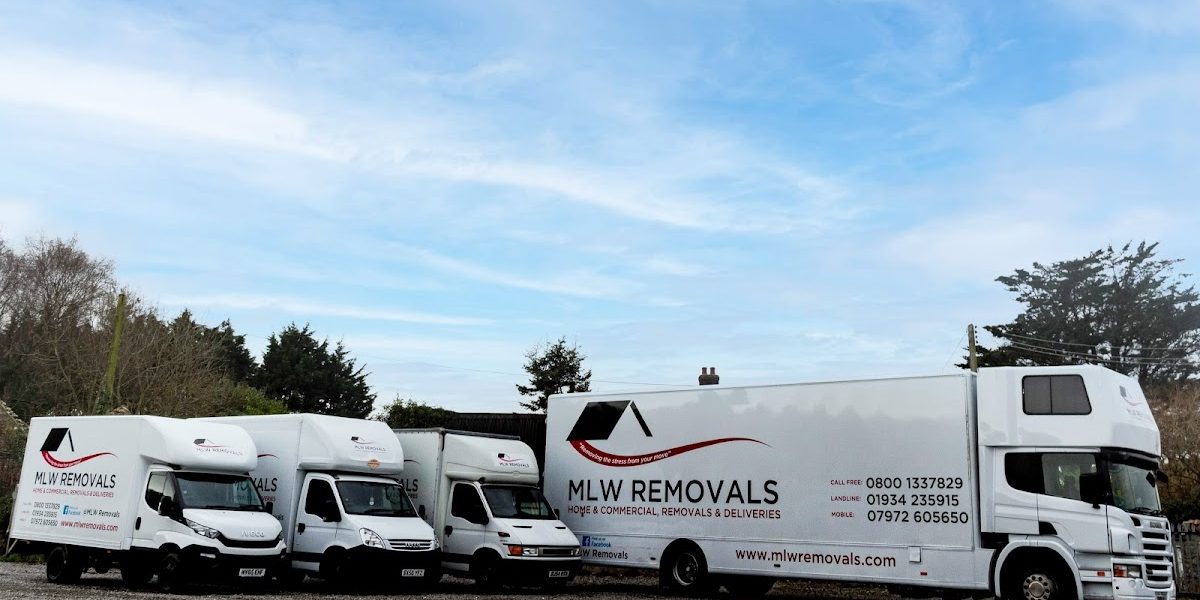 MLW Removals