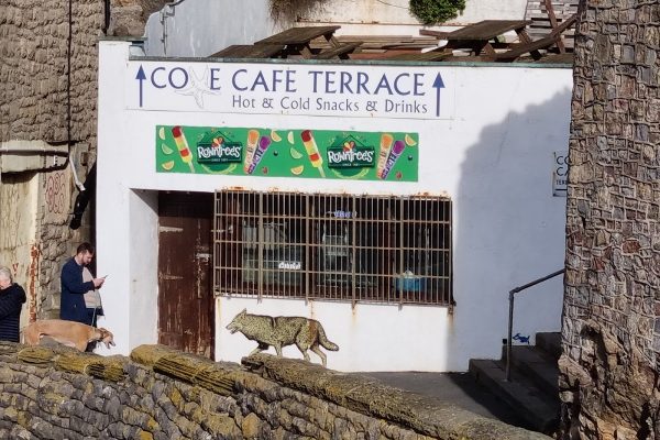 Cove Cafe