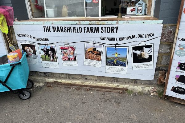 Marshfield Farm Coffee Shop