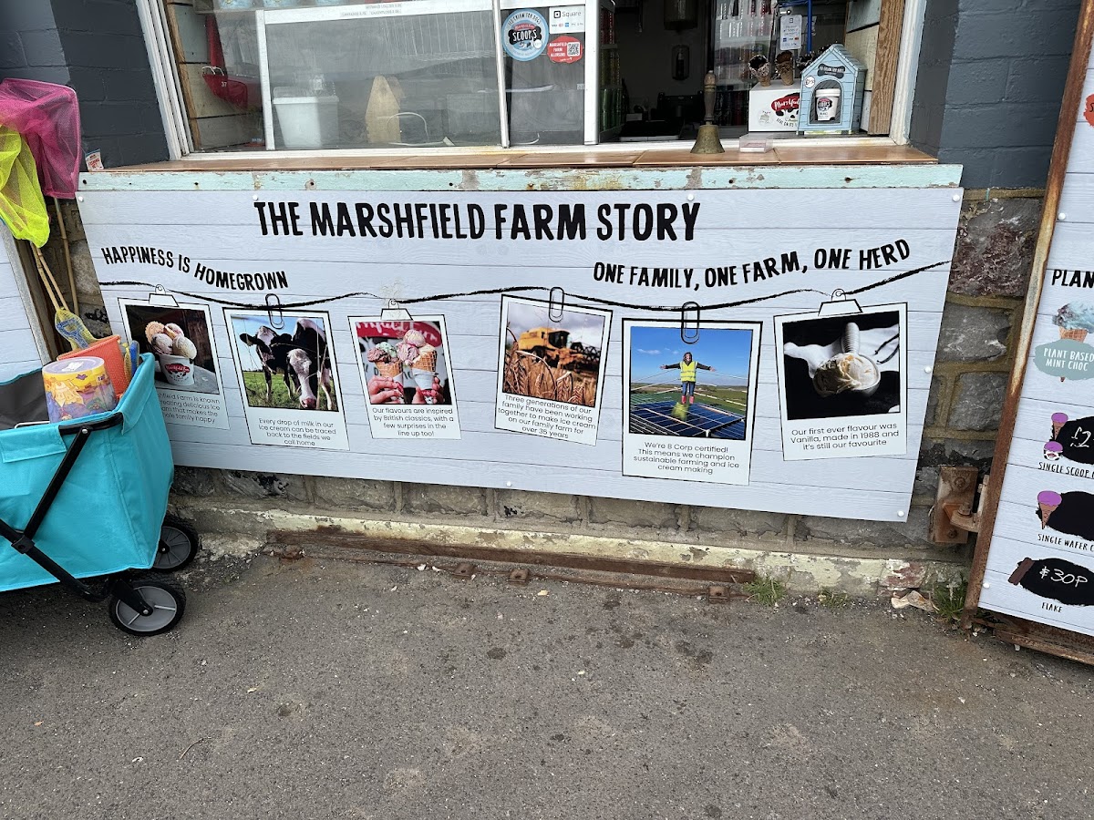 Marshfield Farm Coffee Shop