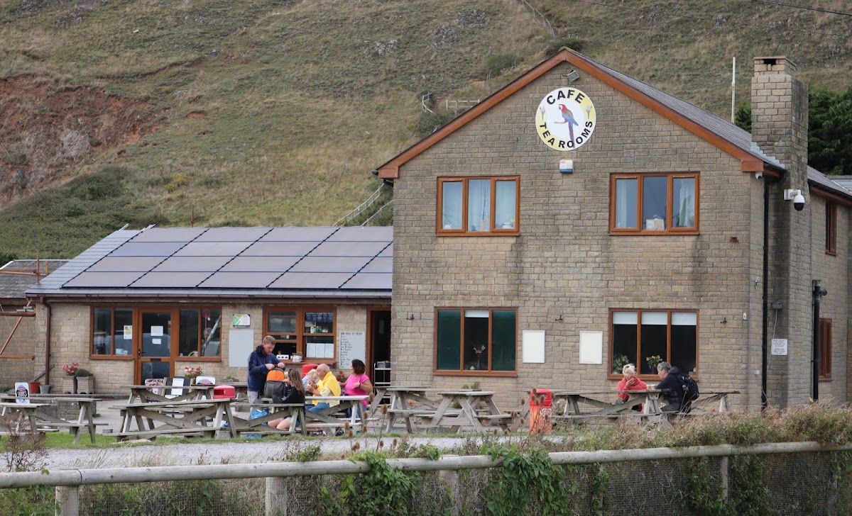Cafe Tea Rooms