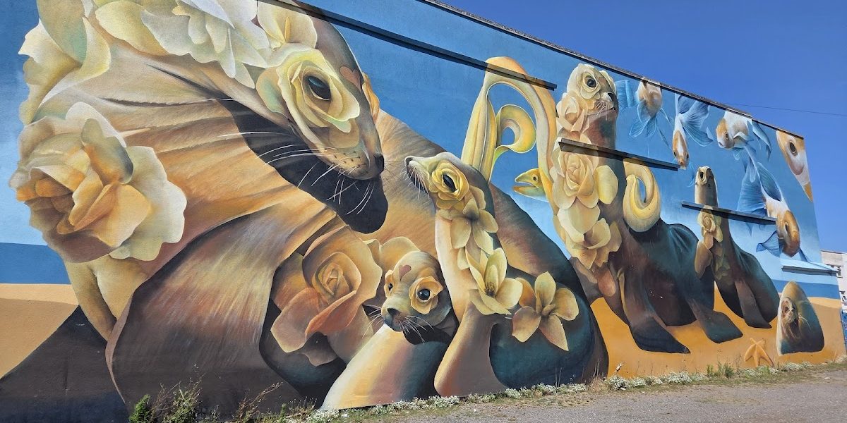 Street art in WSM – Seals