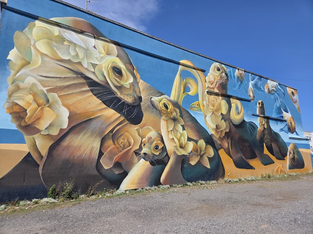Street art in WSM – Seals