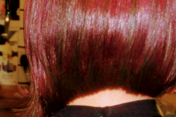 THE CUT