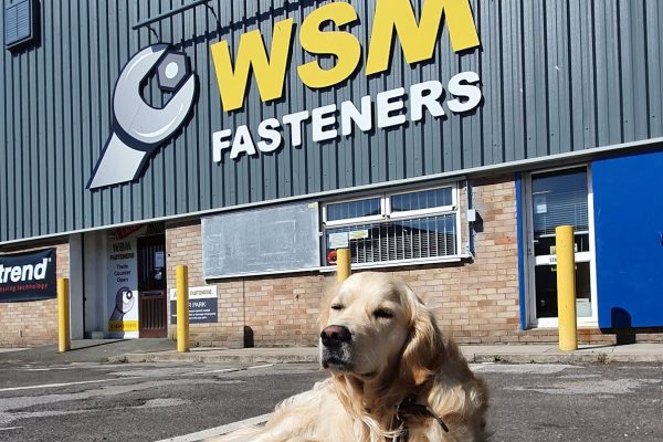 WSM Fasteners Ltd