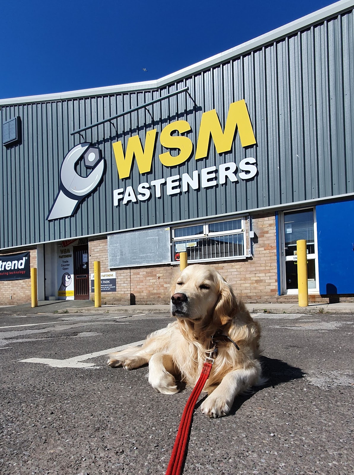 WSM Fasteners Ltd