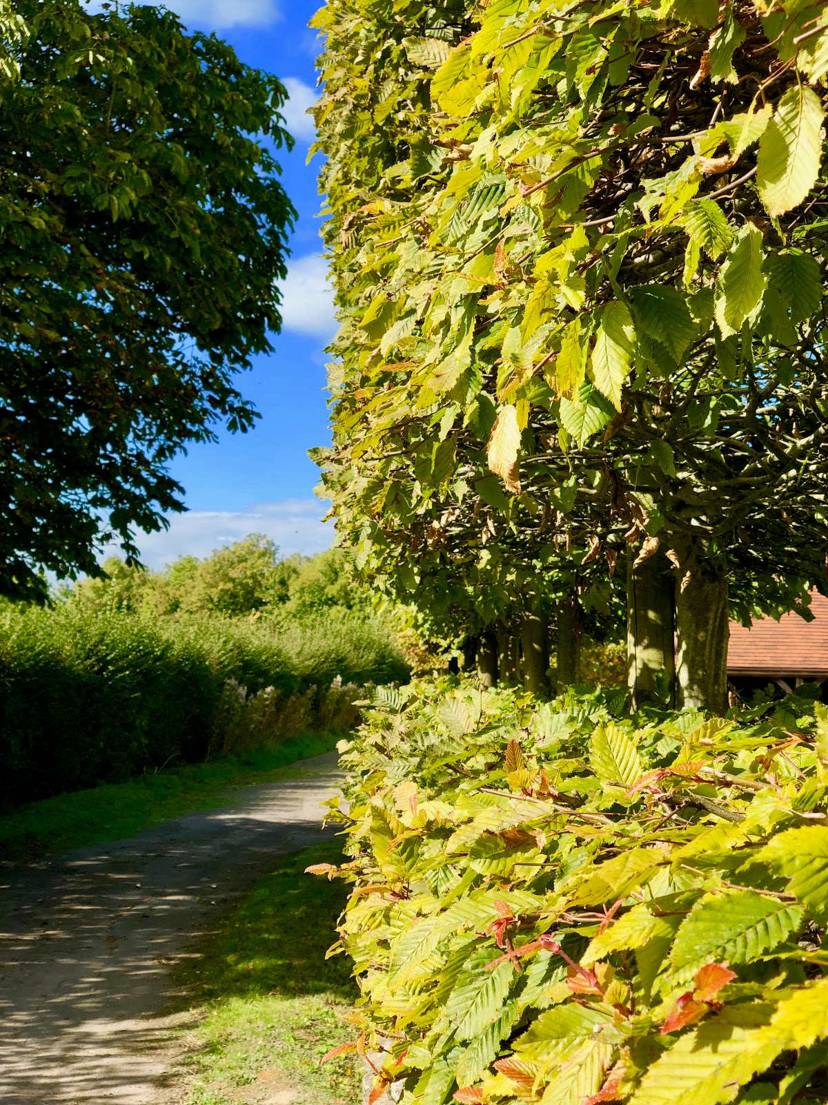 Landbased Services