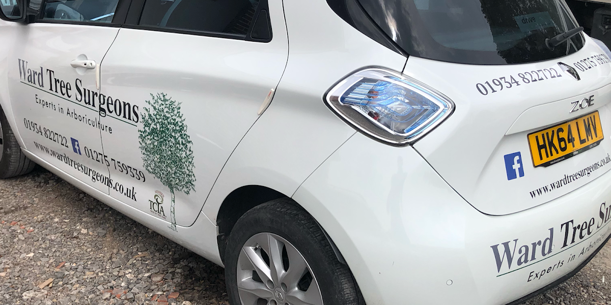 Ward Tree Surgeons
