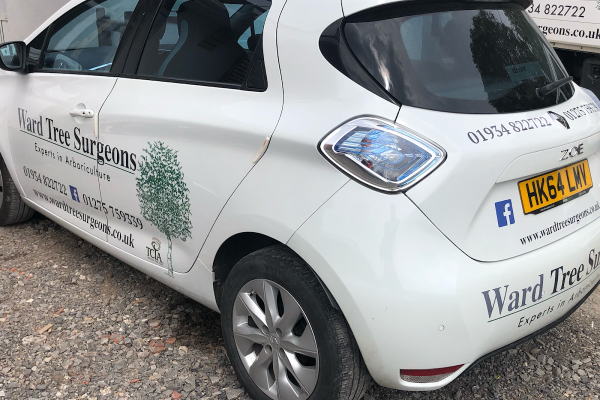 Ward Tree Surgeons