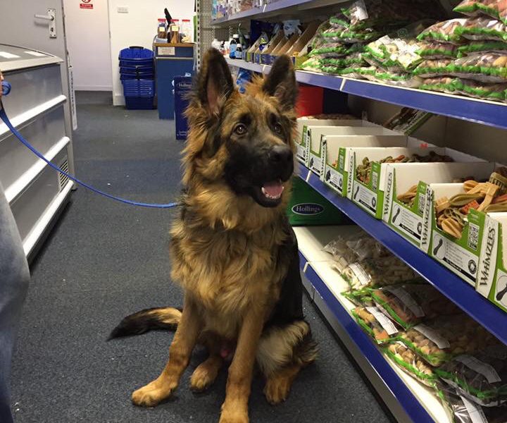 Durham Animal Feeds South