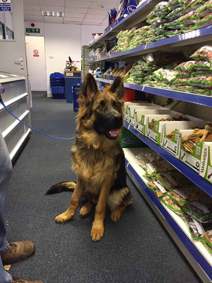 Durham Animal Feeds South