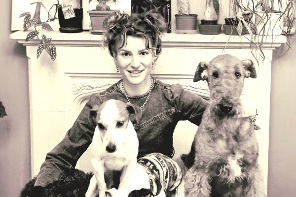 The Dogmother – Grooming & Styling
