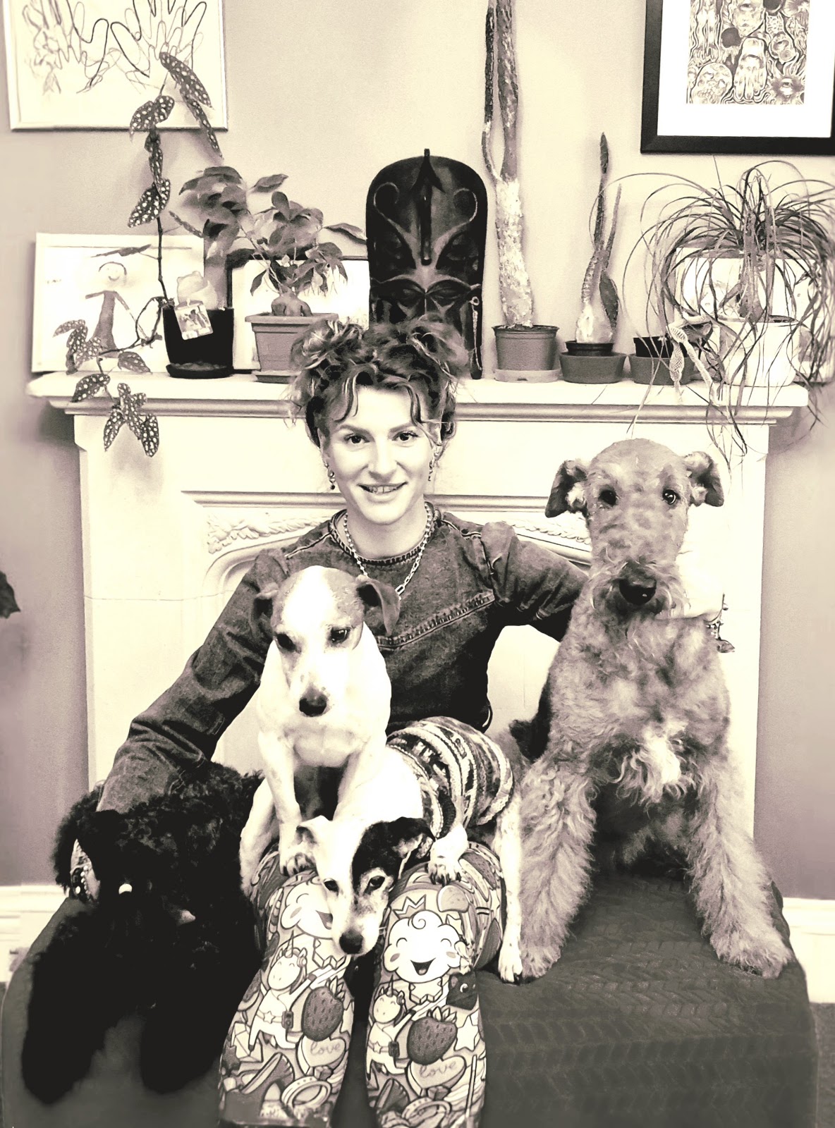 The Dogmother – Grooming & Styling