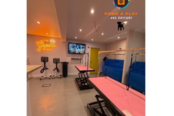 The Groom Studio