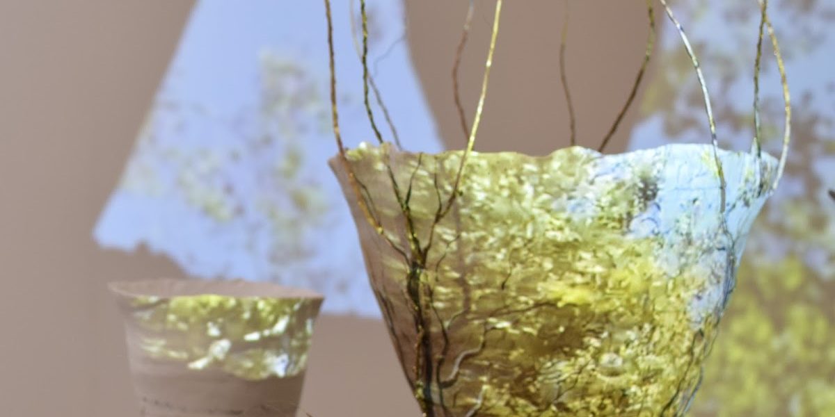 Sonya Wilkins Ceramics