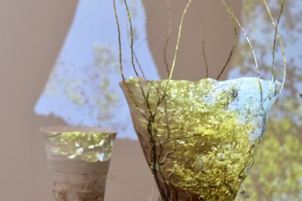 Sonya Wilkins Ceramics