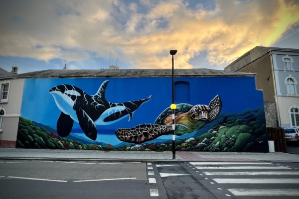 Street Art – Orca
