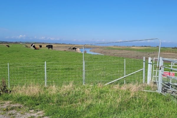 Pier to Pier Way (cycle route)
