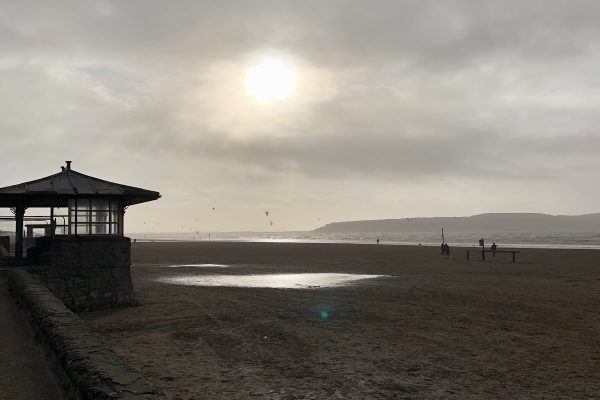 Beach lawns 6