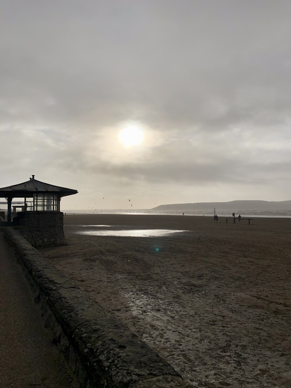 Beach lawns 6